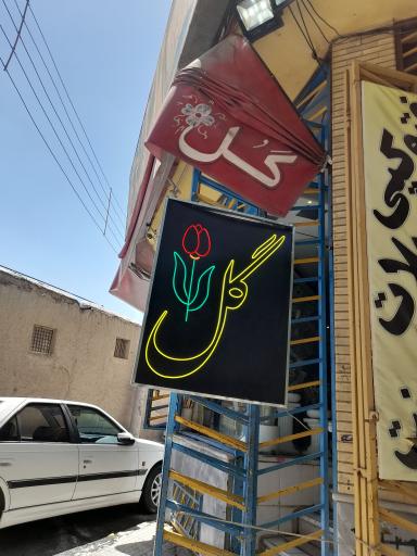 عکس گل جردن