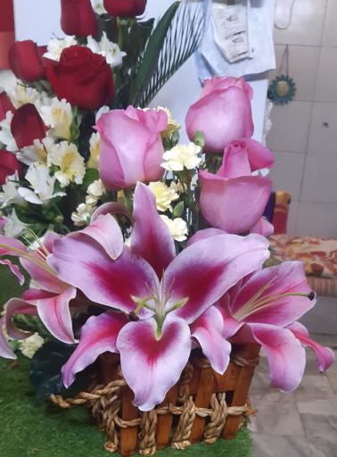 عکس گل جردن