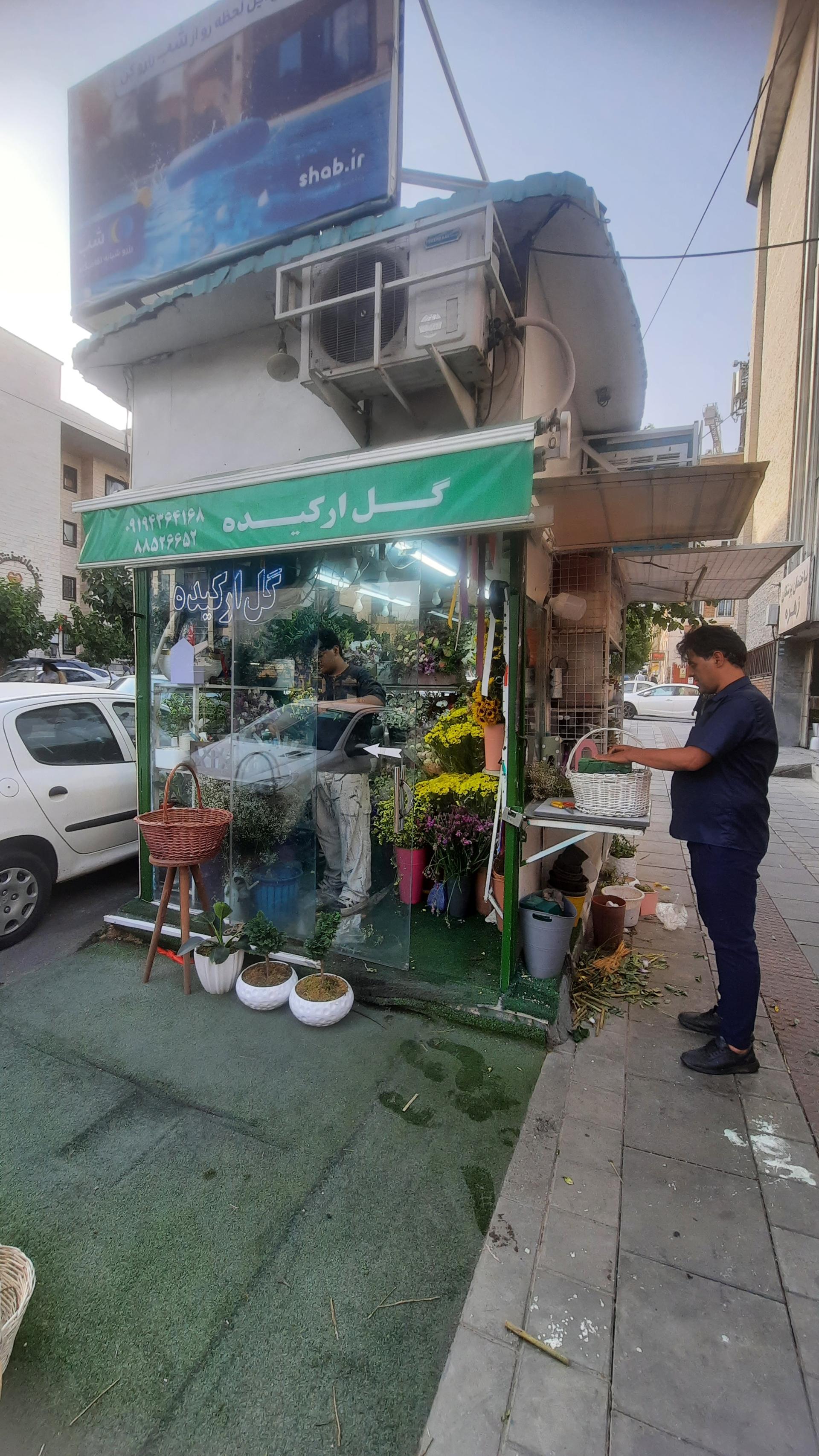 عکس گل ارکیده