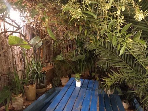 عکس رستوران محلی میرزا