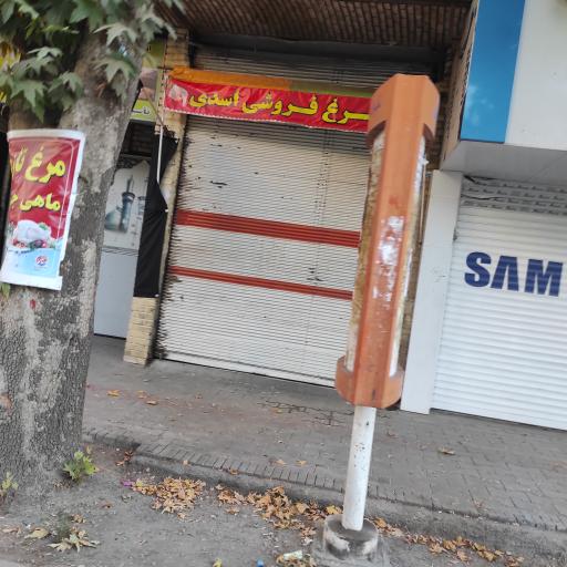 عکس مرغ فروشی اسدی