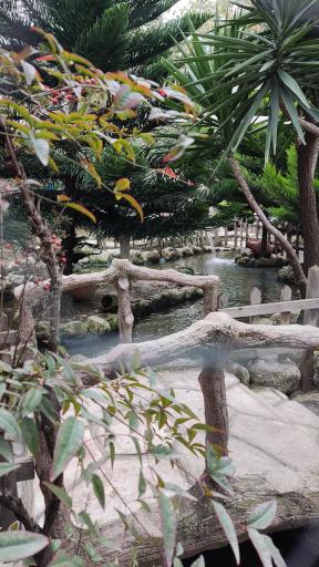 عکس رستوران نگین شمال