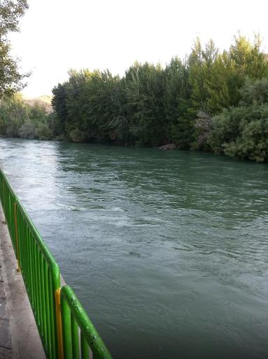 عکس پارک وصال