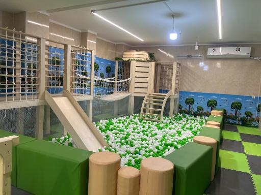 عکس خانه بازی کاخ شادی