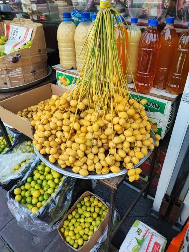 عکس خرماسرای نخل ناخدا جاسم 