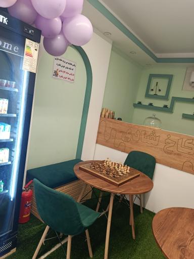 عکس خانه بازی کاخ شادی