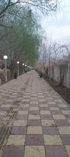 عکس پیاده راه تندرستی