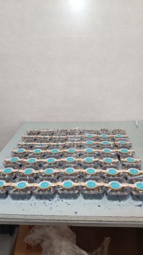 عکس بسته‌بندی خرما الاسرا 