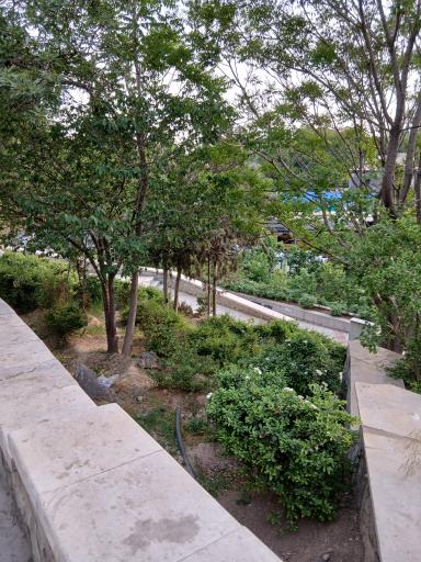 عکس بوستان ارم