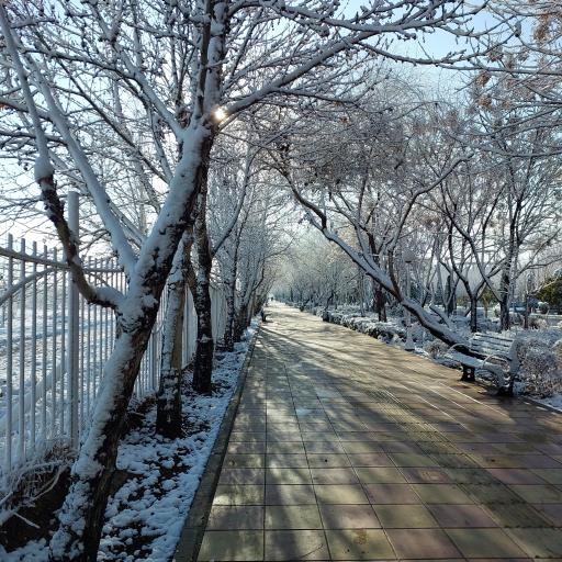 عکس پیاده راه تندرستی