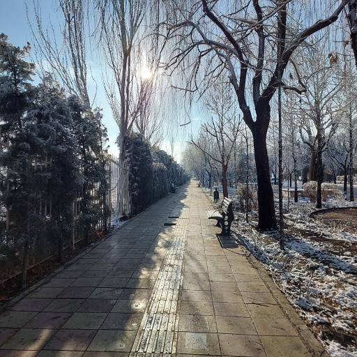 پیاده راه تندرستی