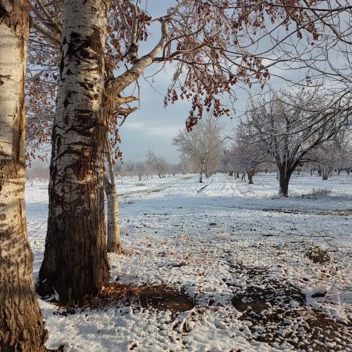 عکس پیاده راه تندرستی