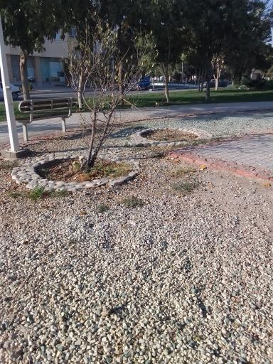 عکس پارک نشاط