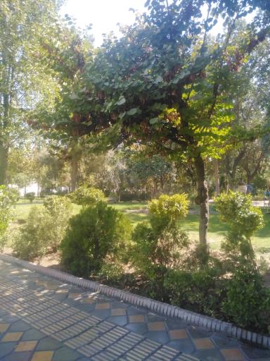 بوستان گلپیرا