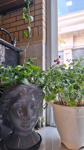 عکس قهوه لند