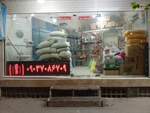 عکس دنیای پرندگان پاروت