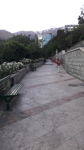 عکس بوستان ارم