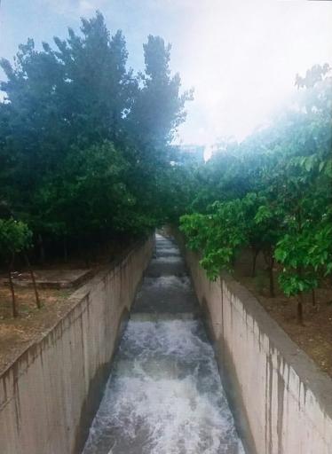 عکس بوستان ارم