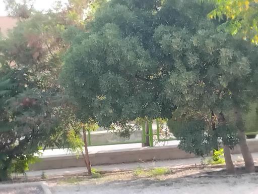عکس پارک نشاط