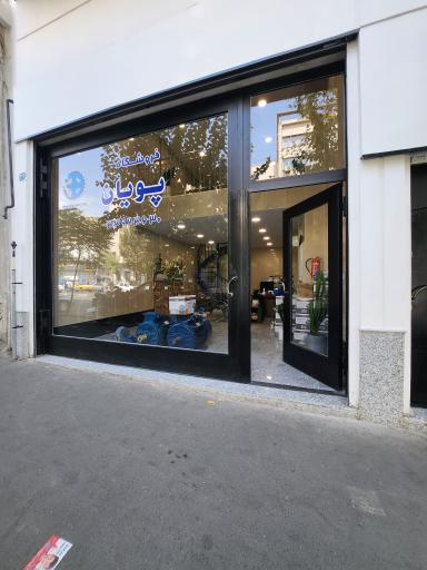 گروه صنعتی پویان