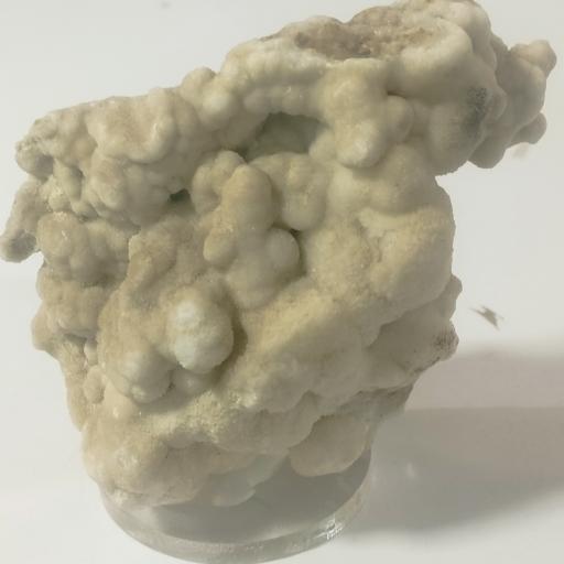 عکس عطر و انگشتر گوهرشاد