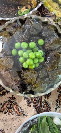 عکس غذای سادات