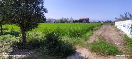 عکس منطقه ویلایی شالیزار شهرک تلارم