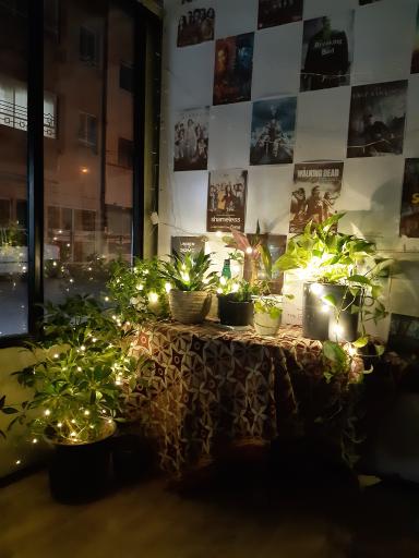 عکس محصولات فرهنگی بارکد