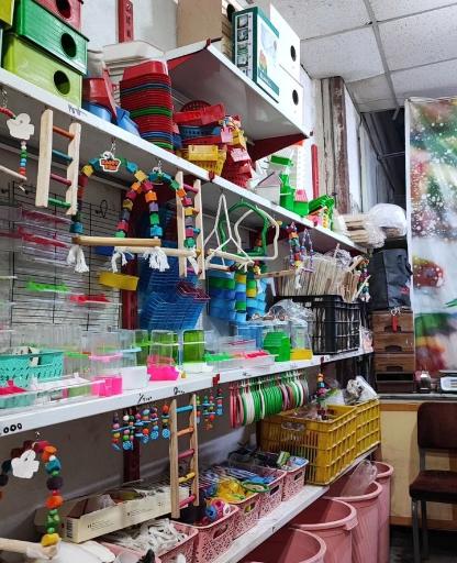 عکس پرنده سرای سید