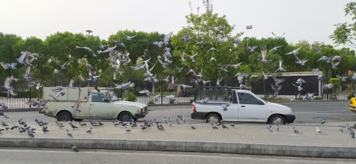 عکس میدان شوش 