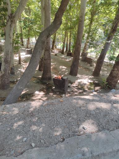 عکس پارک جنگلی وکیل آباد