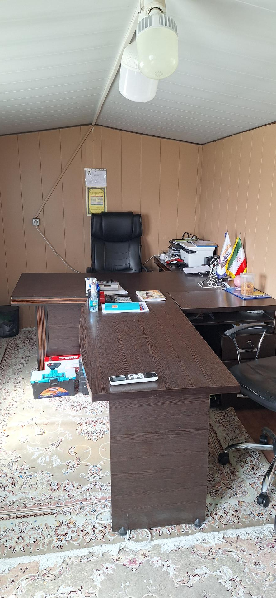 عکس قالیشویی بنفشه