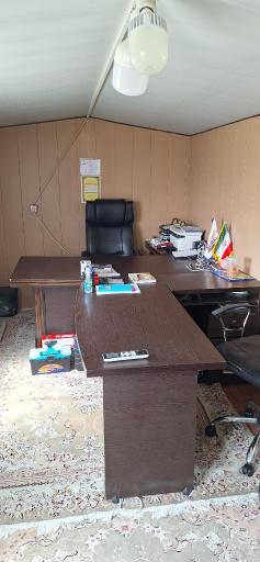 عکس قالیشویی بنفشه