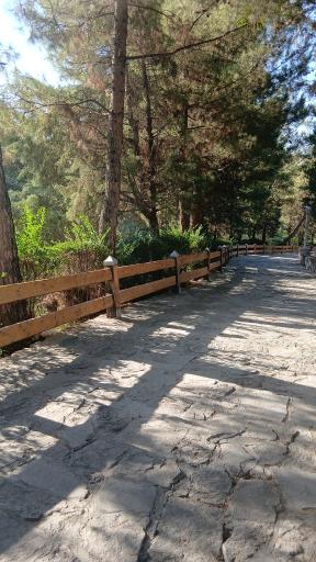 عکس پارک جنگلی وکیل آباد