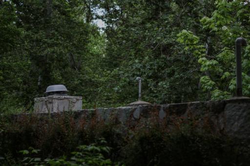 عکس پارک جنگلی وکیل آباد