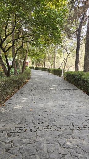 عکس پارک جنگلی وکیل آباد