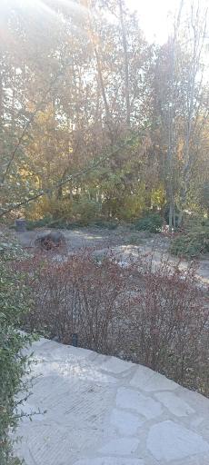 عکس پارک جنگلی وکیل آباد