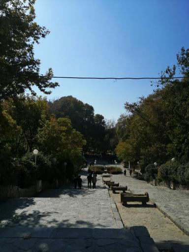 عکس پارک جنگلی وکیل آباد