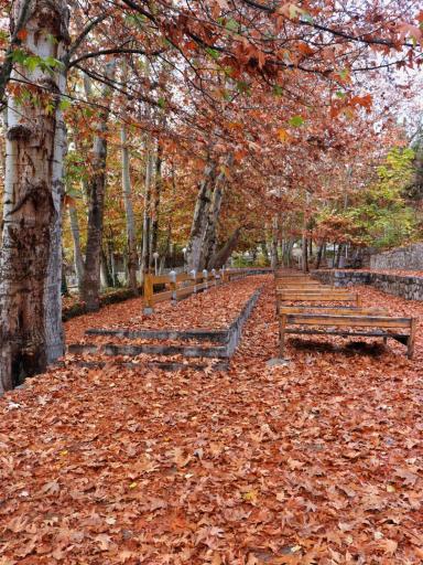 عکس پارک جنگلی وکیل آباد