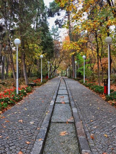 عکس پارک جنگلی وکیل آباد