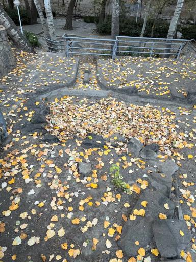 عکس پارک جنگلی وکیل آباد