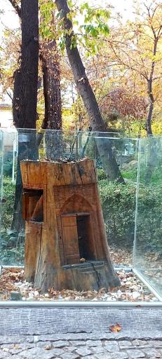 عکس پارک جنگلی وکیل آباد