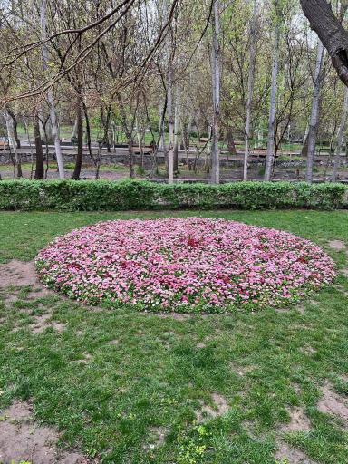 عکس پارک جنگلی وکیل آباد