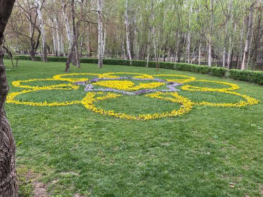 عکس پارک جنگلی وکیل آباد