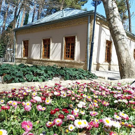 عکس پارک جنگلی وکیل آباد