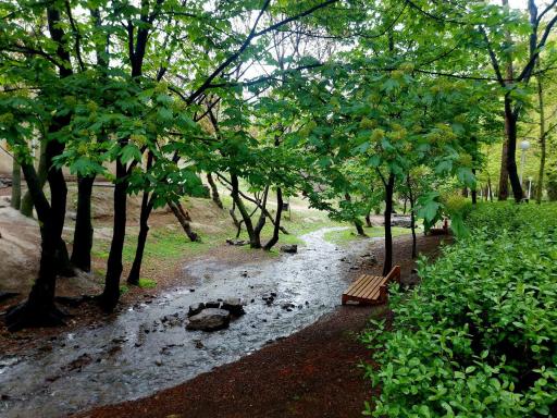 عکس پارک جنگلی وکیل آباد