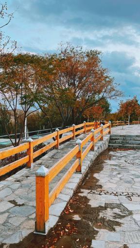 عکس پارک جنگلی وکیل آباد