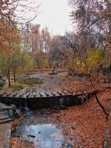 عکس پارک جنگلی وکیل آباد