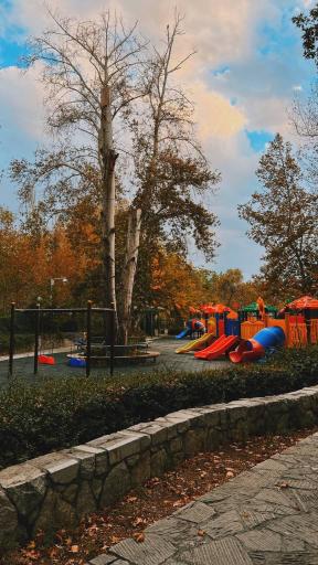 عکس پارک جنگلی وکیل آباد