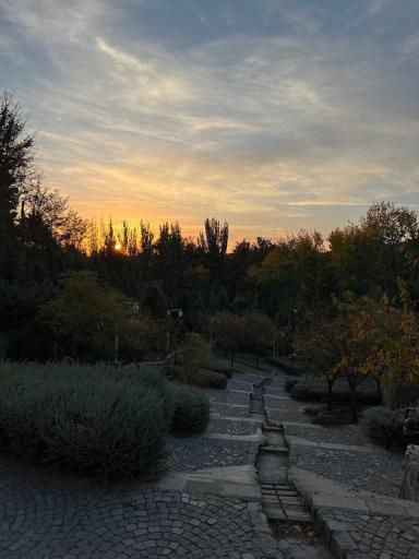 عکس پارک جنگلی وکیل آباد